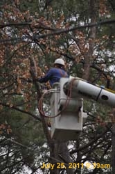 Entergy 094